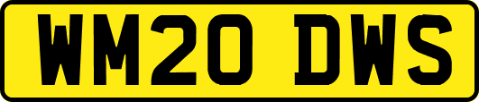 WM20DWS