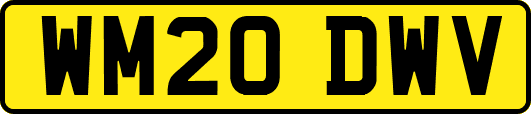 WM20DWV