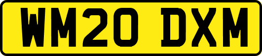WM20DXM