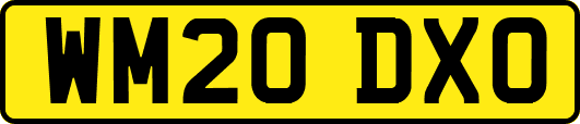WM20DXO