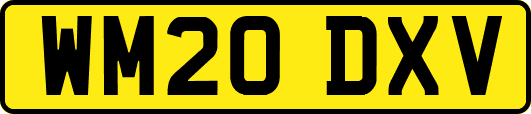 WM20DXV