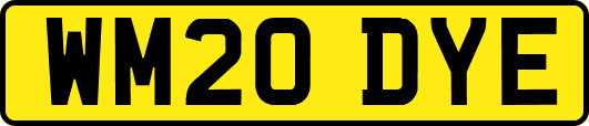 WM20DYE