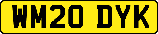 WM20DYK