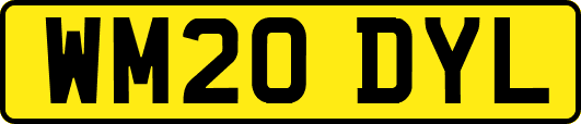 WM20DYL