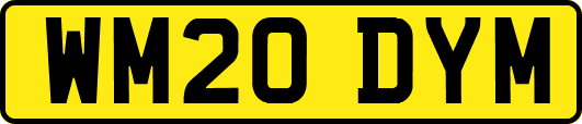 WM20DYM