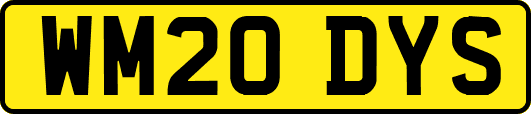 WM20DYS