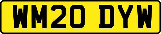 WM20DYW