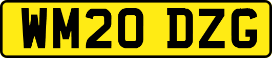 WM20DZG