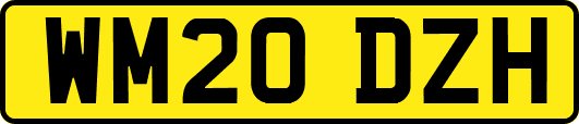 WM20DZH
