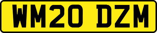 WM20DZM