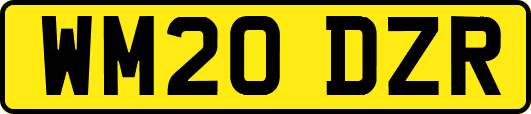 WM20DZR
