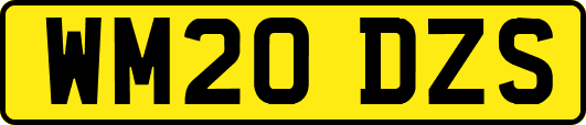 WM20DZS