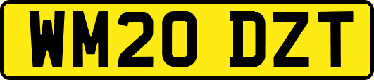 WM20DZT