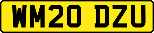 WM20DZU