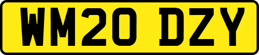 WM20DZY