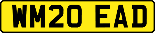 WM20EAD