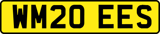 WM20EES