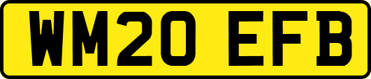 WM20EFB