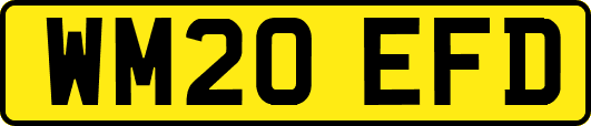 WM20EFD
