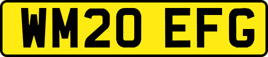WM20EFG