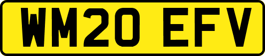 WM20EFV