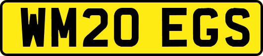 WM20EGS