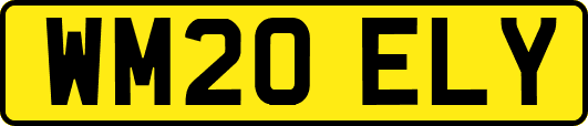 WM20ELY