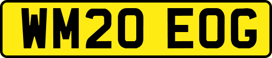 WM20EOG