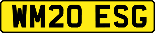 WM20ESG