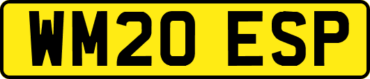 WM20ESP