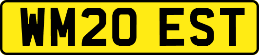 WM20EST
