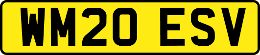 WM20ESV