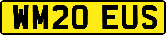 WM20EUS