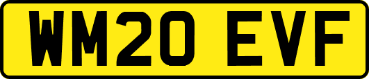 WM20EVF