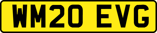 WM20EVG