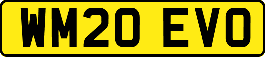 WM20EVO
