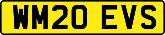 WM20EVS