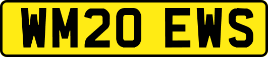 WM20EWS