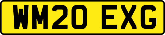 WM20EXG