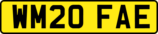 WM20FAE