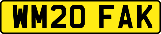WM20FAK