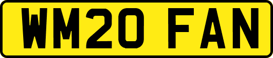 WM20FAN