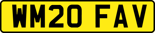 WM20FAV