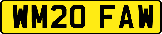 WM20FAW