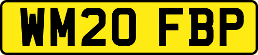 WM20FBP