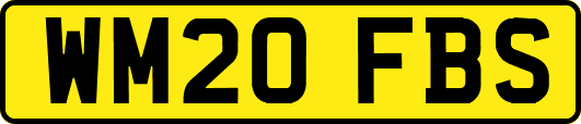 WM20FBS