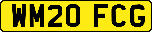 WM20FCG