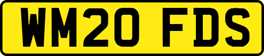 WM20FDS