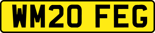 WM20FEG