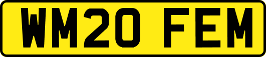 WM20FEM